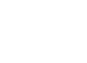 Vision Techniques